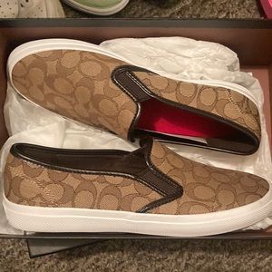 CHRISSY OUTLINE SIG C/NAP